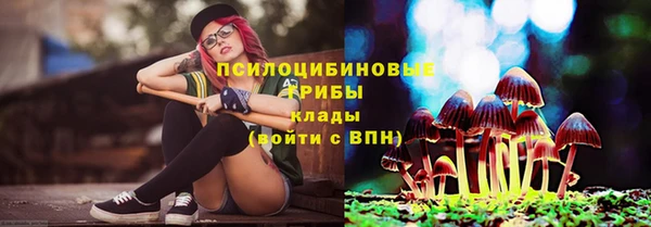 СК Россошь